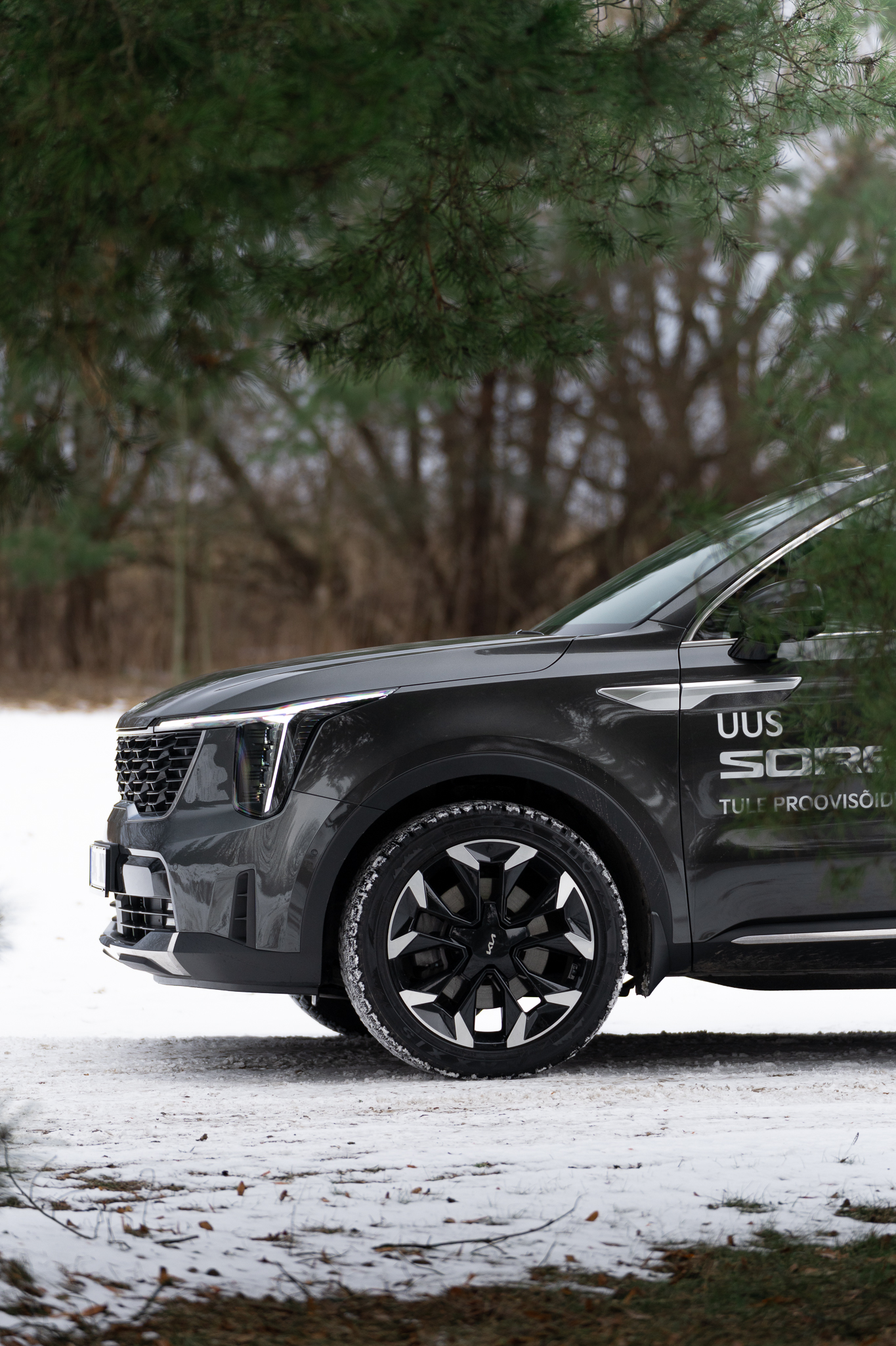 raunoleinasaar, leinasaarfoto, autofotograaf, autofotograafia, fotograaf, autopildid, pildistamine, pärnufotograaf